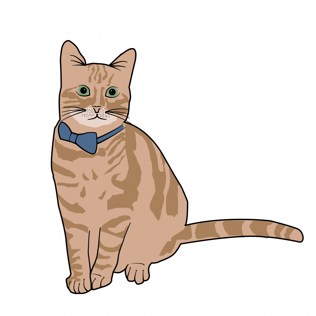 Chat roux prénommé ID Cat par les freres moustaches agence de communication